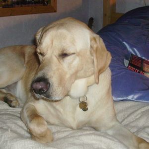 Meet your Posher, Karen